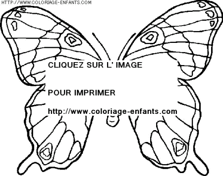 coloriage nature ete