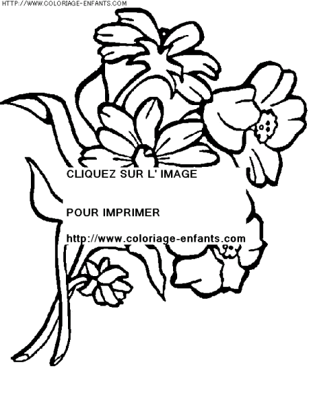 coloriage nature ete