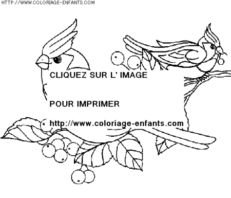 coloriage nature ete