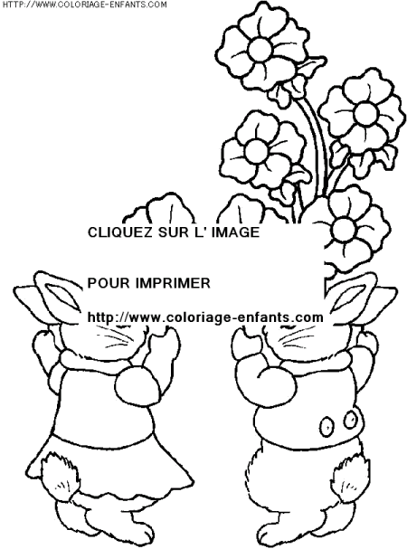 coloriage nature printemps