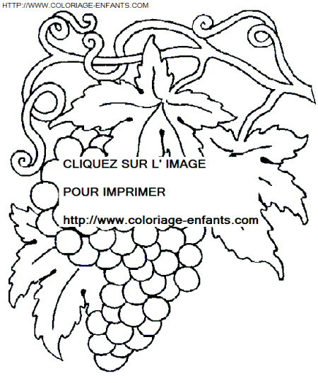 coloriage Nature Vendanges