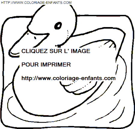 coloriage oiseaux