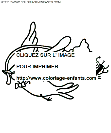 coloriage oiseaux