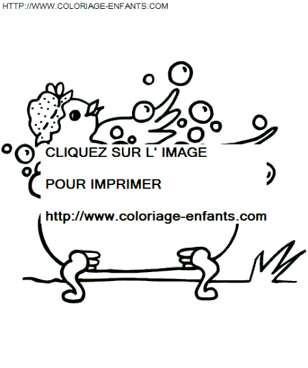 coloriage oiseaux