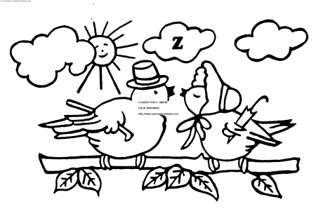 coloriage oiseaux