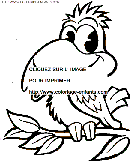 coloriage oiseaux