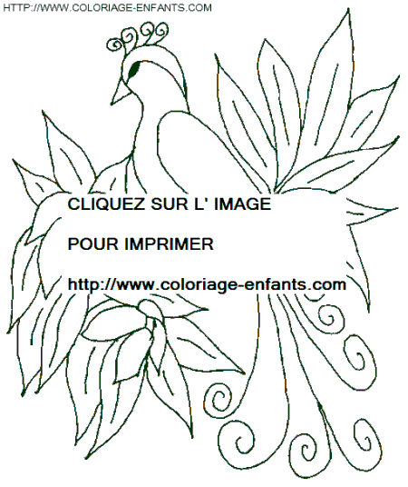 coloriage oiseaux