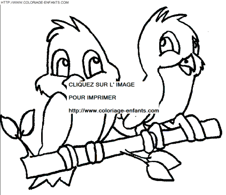 coloriage oiseaux
