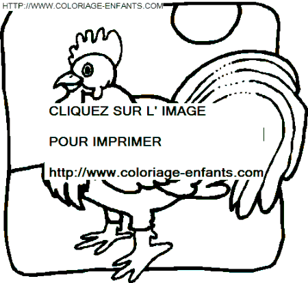 coloriage oiseaux