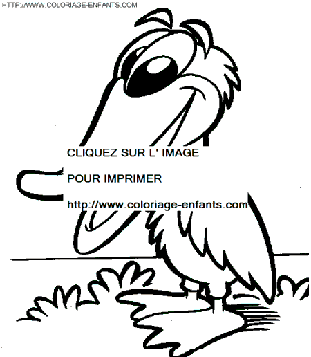 coloriage oiseaux