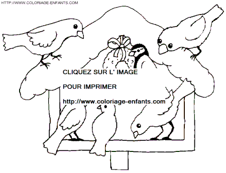 coloriage oiseaux