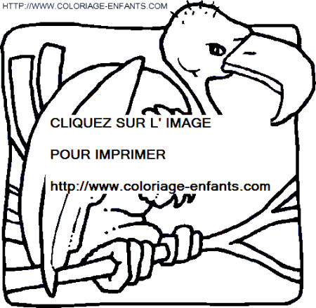 coloriage oiseaux