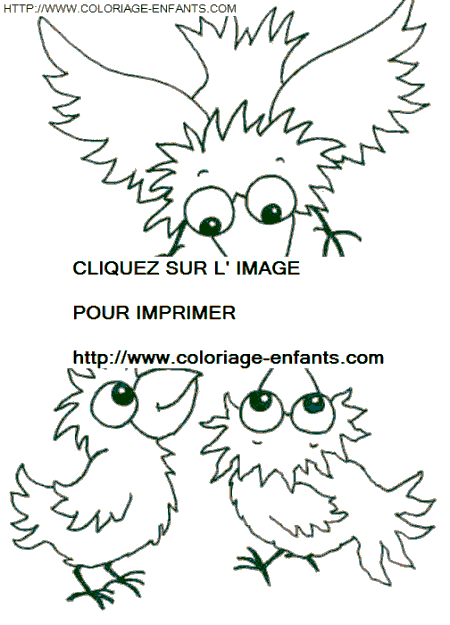 coloriage oiseaux