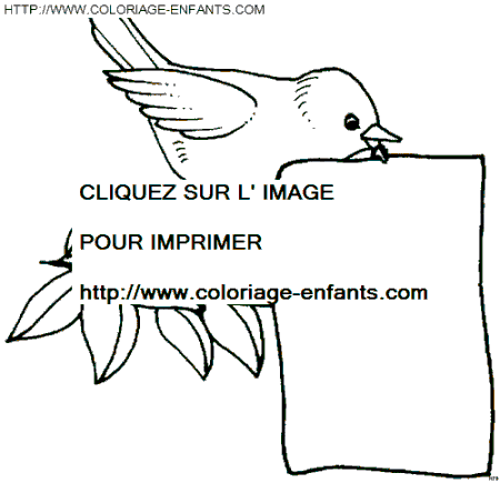 coloriage oiseaux