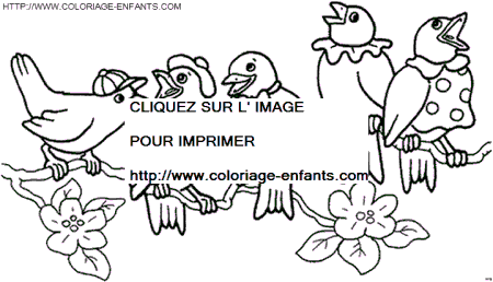 coloriage oiseaux