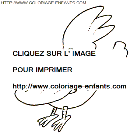 coloriage oiseaux