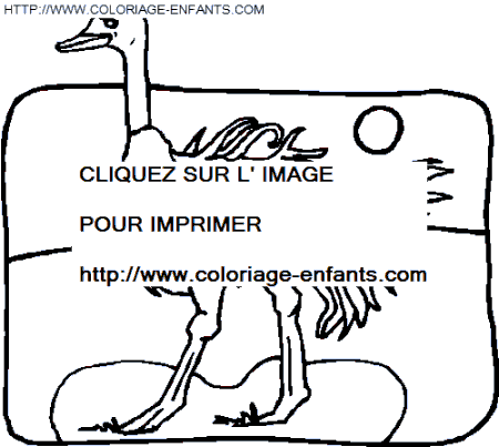 coloriage oiseaux