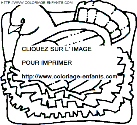 coloriage oiseaux