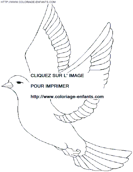 coloriage oiseaux