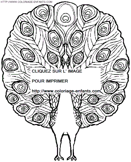 coloriage oiseaux