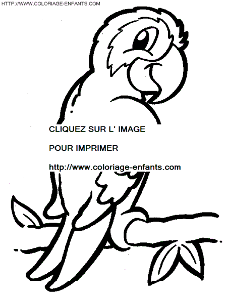 coloriage oiseaux