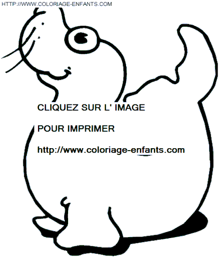 coloriage otaries