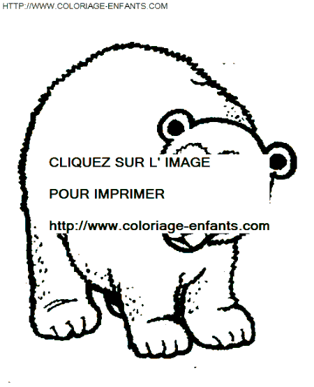coloriage ours perdu