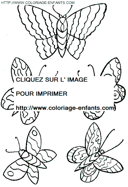 coloriage papillons