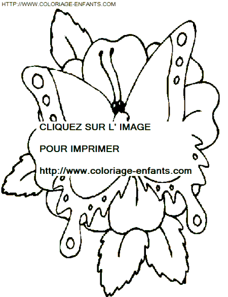 coloriage papillons