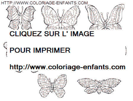 coloriage papillons