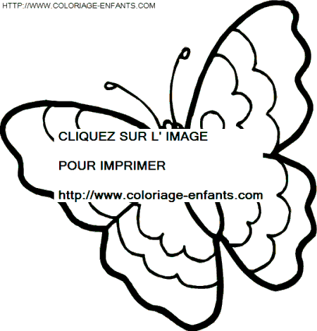 coloriage papillons