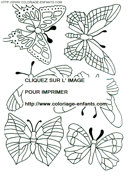 coloriage papillons