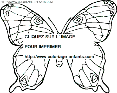 coloriage papillons