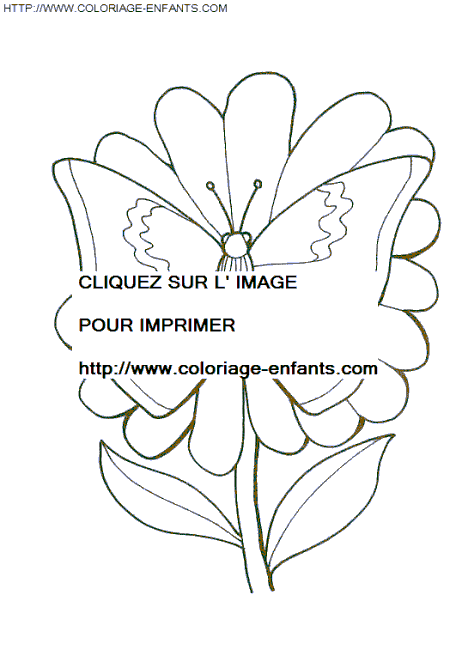 coloriage papillons