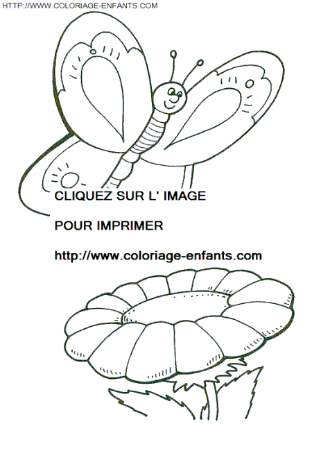 coloriage papillons