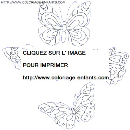 coloriage papillons