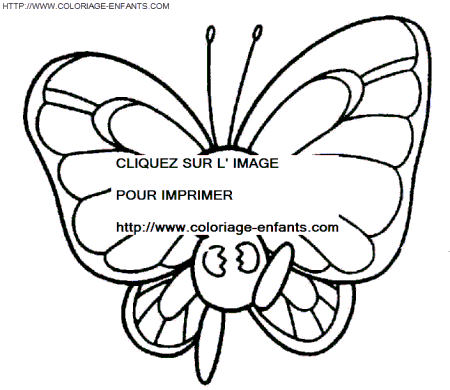 coloriage papillons