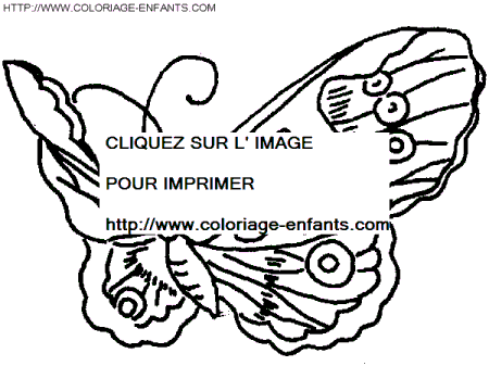 coloriage papillons