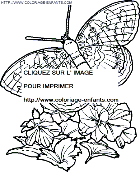 coloriage papillons