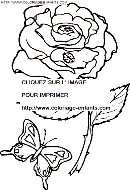 coloriage papillons