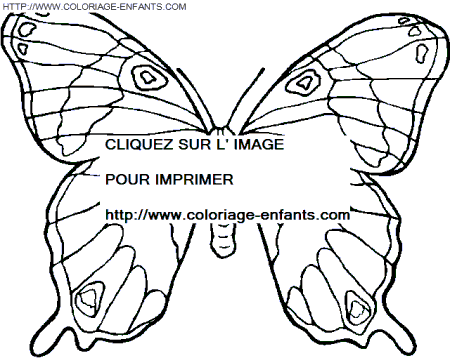 coloriage papillons