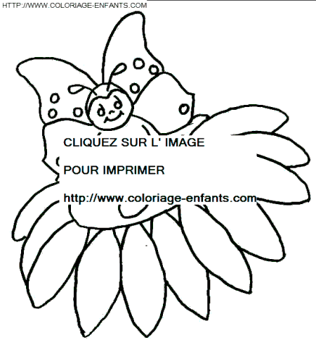 coloriage papillons