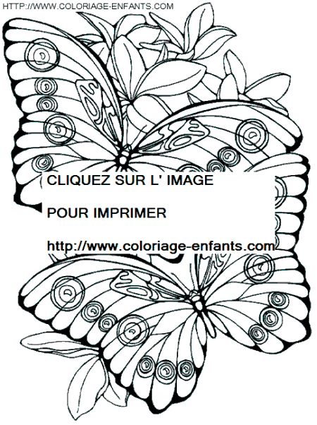 coloriage papillons