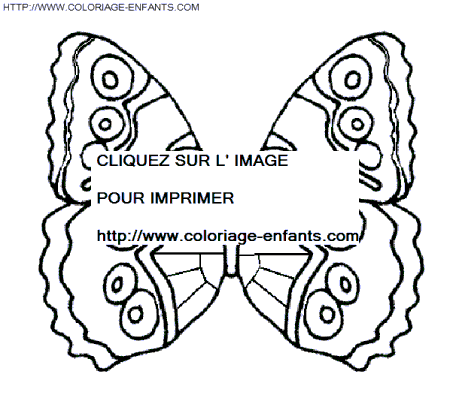 coloriage papillons