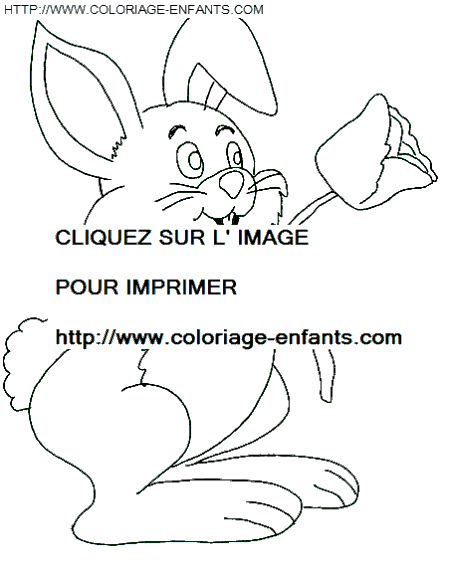 coloriage paques un lapin avec une rose