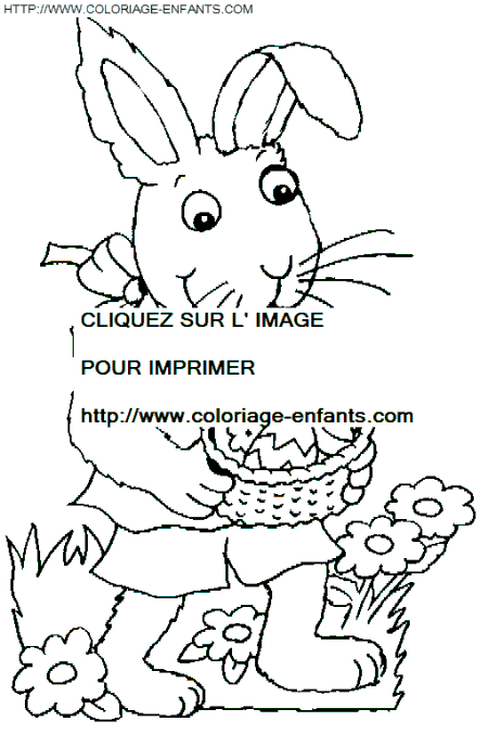 coloriage paques un lapin cherche des oeufs