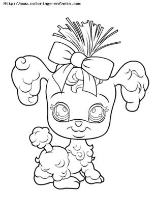 coloriage Petshop