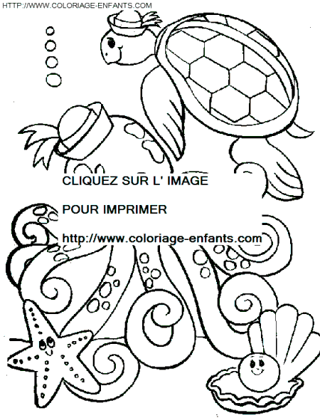 coloriage pieuvres