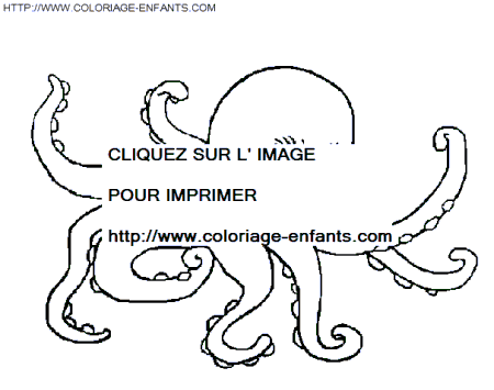 coloriage pieuvres