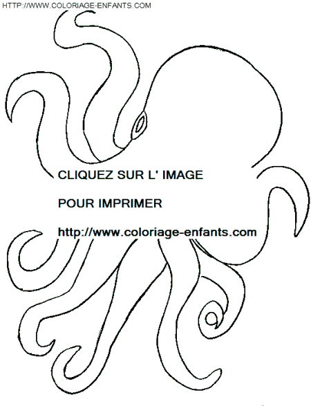 coloriage pieuvres